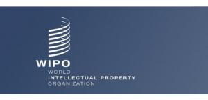 中国用时40年成为全球专利代理量第一的国家