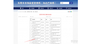 东莞专利代理公司 ---广州市南锋专利事务所有限公司 东莞分公司