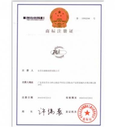 中国商标证书